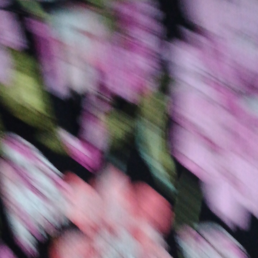 Floral & Ivy Bell Sleeve Blouse - Pink and Black - Picture 3 of 9